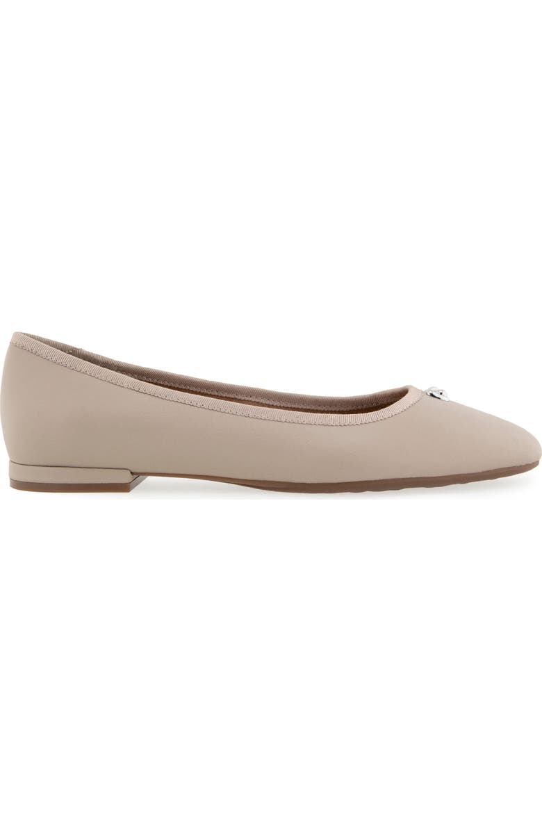 Aerosoles Arena Ballet Flat (Women)