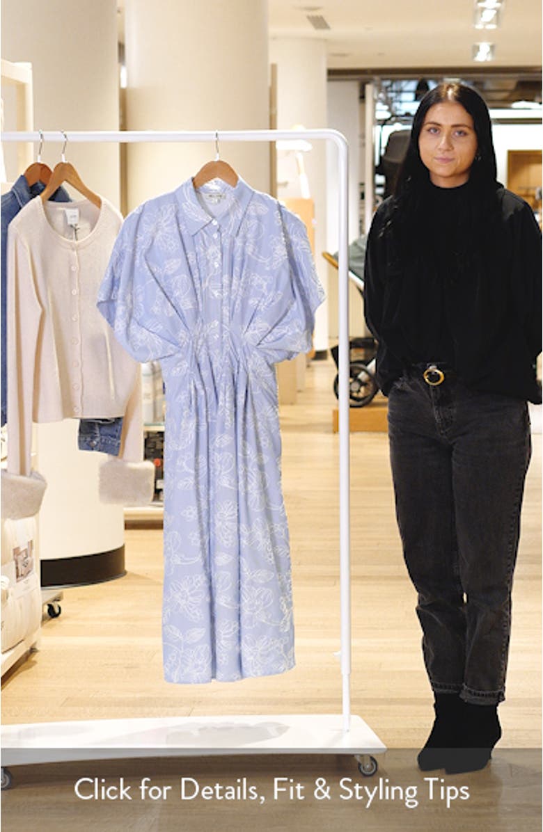 Embroidered Stripe Midi Shirtdress