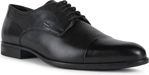 Geox Iacopo Cap Toe Derby, Main, color, BLACK