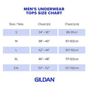 Gildan Men's V-Neck T-Shirts, Multipack, Style G1103