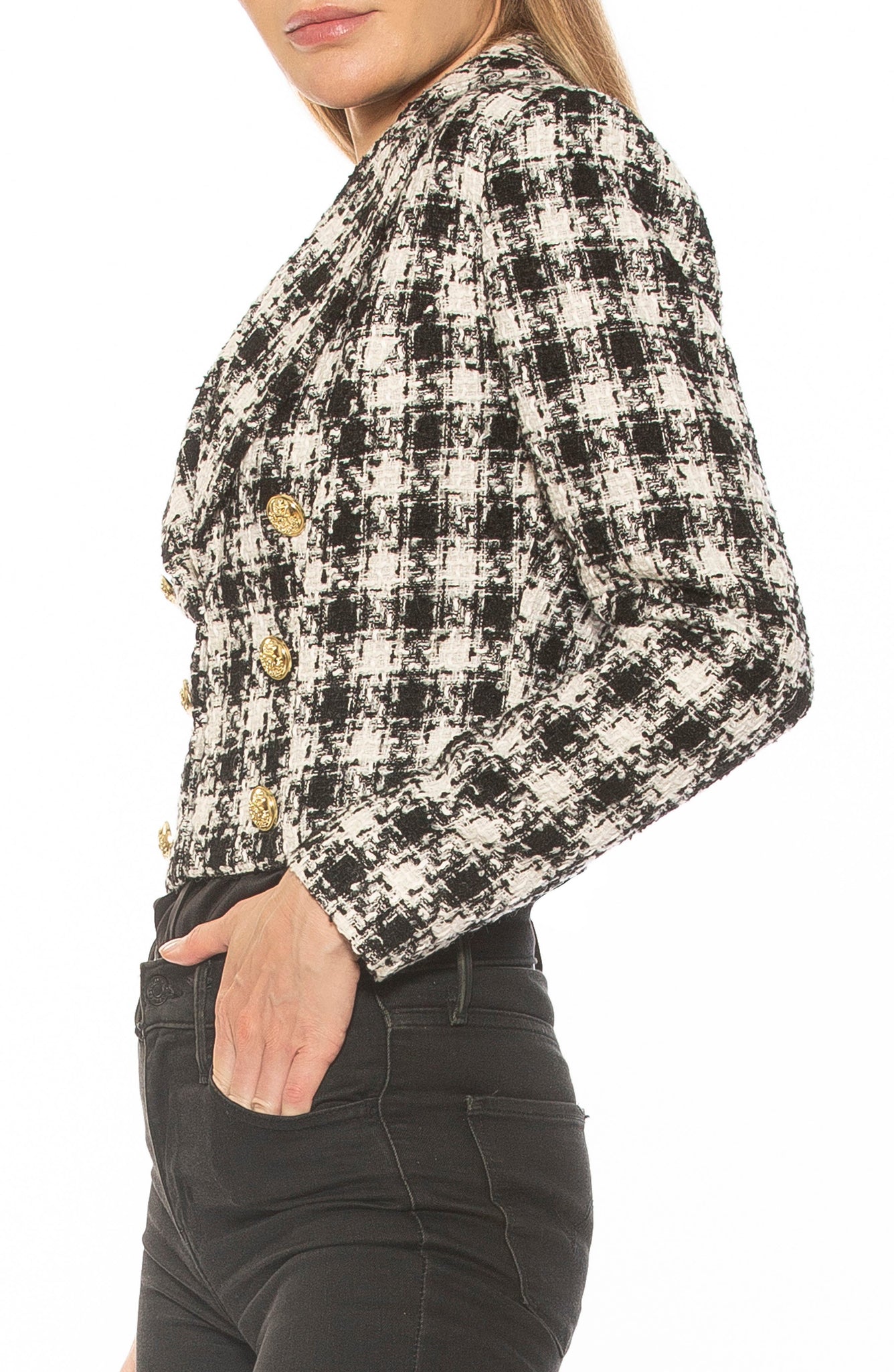 ALEXIA ADMOR Jesse Double Breasted Crop Tweed Blazer, Alternate, color, BW HOUNDSTOOTH