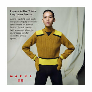 Knitted V-Neck Long-Sleeve Sweater (MARNI)