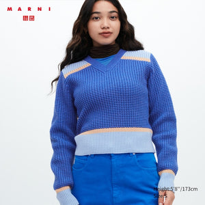 Knitted V-Neck Long-Sleeve Sweater (MARNI)